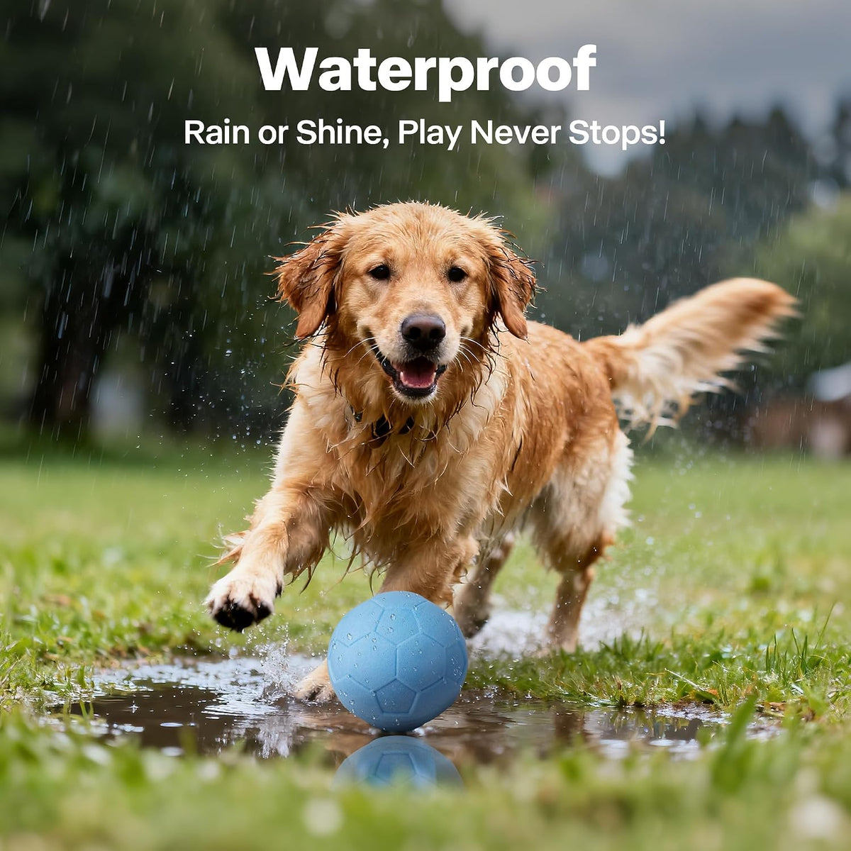 Interactive Dog Ball,Automatic Rolling Ball for Small,Medium & Large Dogs,Touch Activated Self Moving Toy with LED Lights, Upgraded ETPU Material,Ip65 Waterproof for Indoor/Outdoor Play