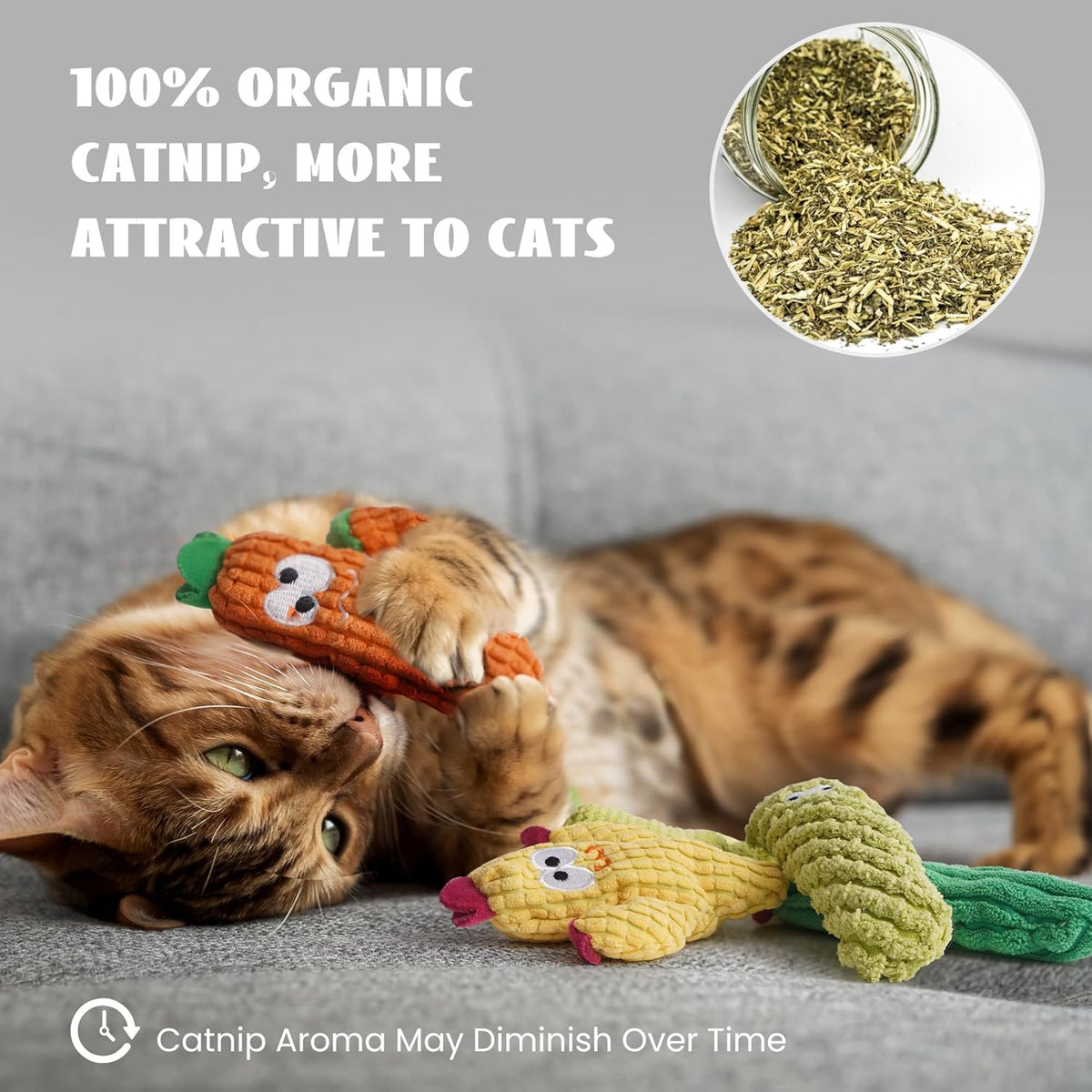Cactus Catnip Toys, 100% Pure Organic Catnip-Filled Toys without Cotton