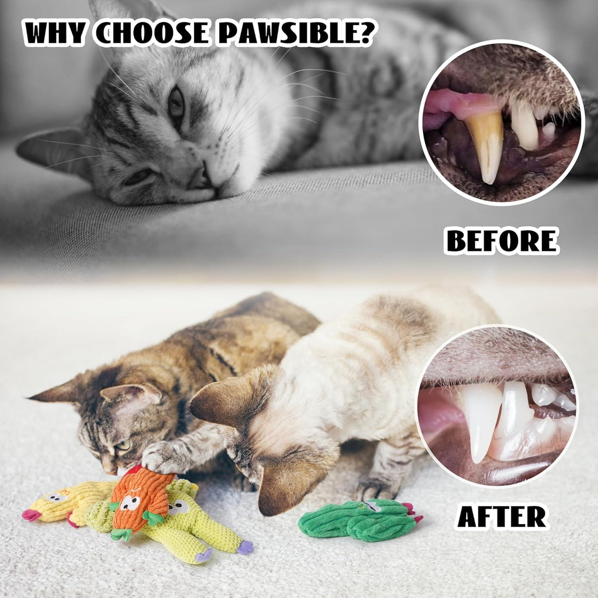 Cactus Catnip Toys, 100% Pure Organic Catnip-Filled Toys without Cotton